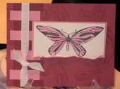 pink butterfly by 