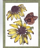 sunflower/coneflower card by 
