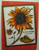 PSX Sunflower by 